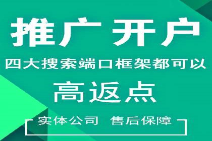 SEM推广实战：案例分析与优化